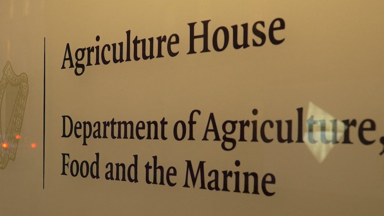 How much did the department pay out on schemes in 2024?