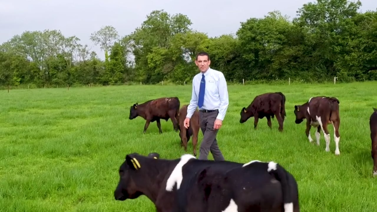 Teagasc's Pearse Kelly will facilitate the live panel discussion