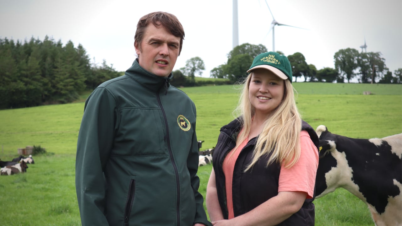 Tipperary beef and dairy farmer shares his positive experience of Grolime