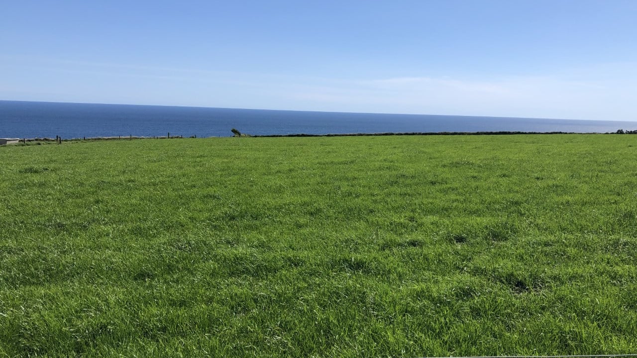 Grass advice: Time to think about building covers for autumn