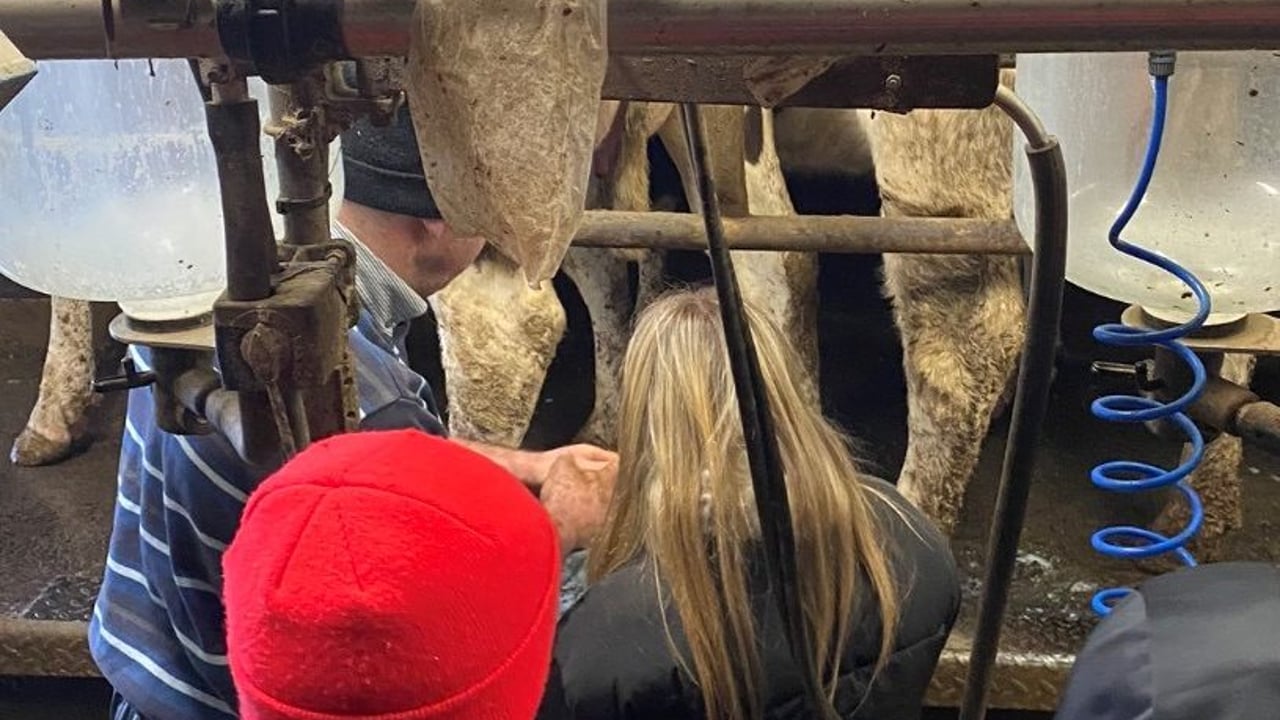 'Sir, when are we going out on the farm?' - Teacher raises concerns over curriculum