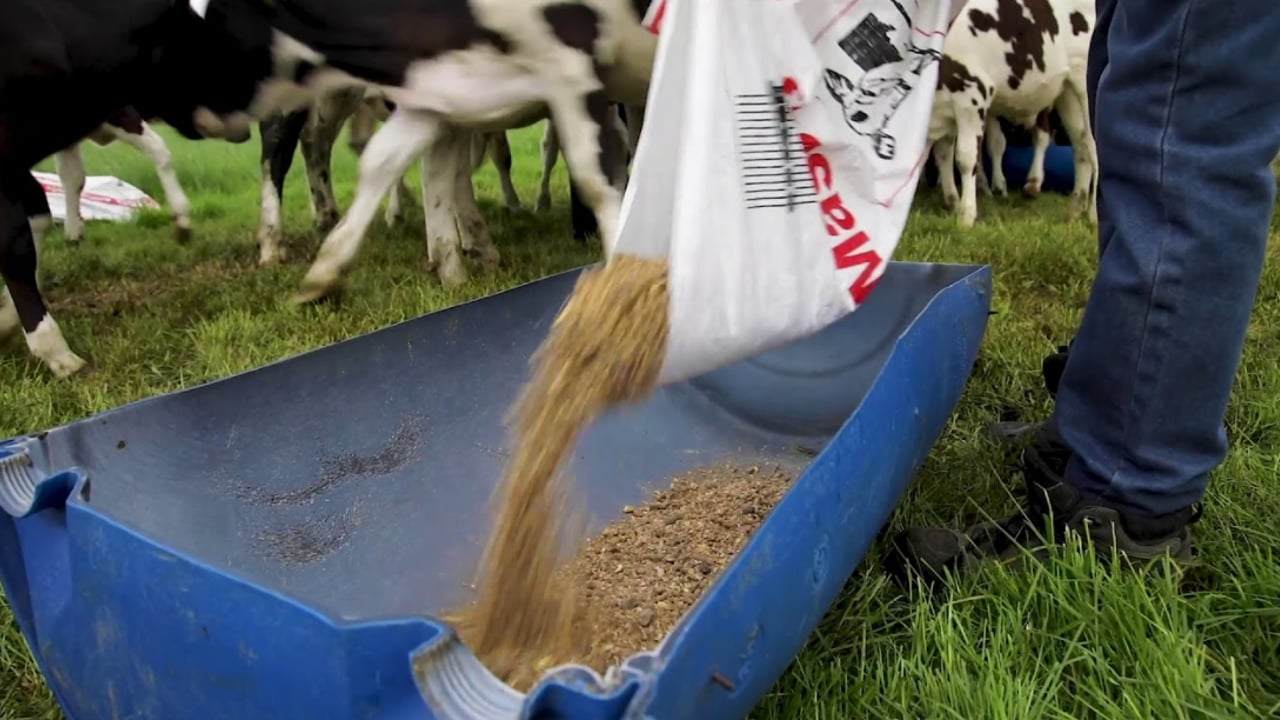 Livestock concentrate feeds set for further price increases