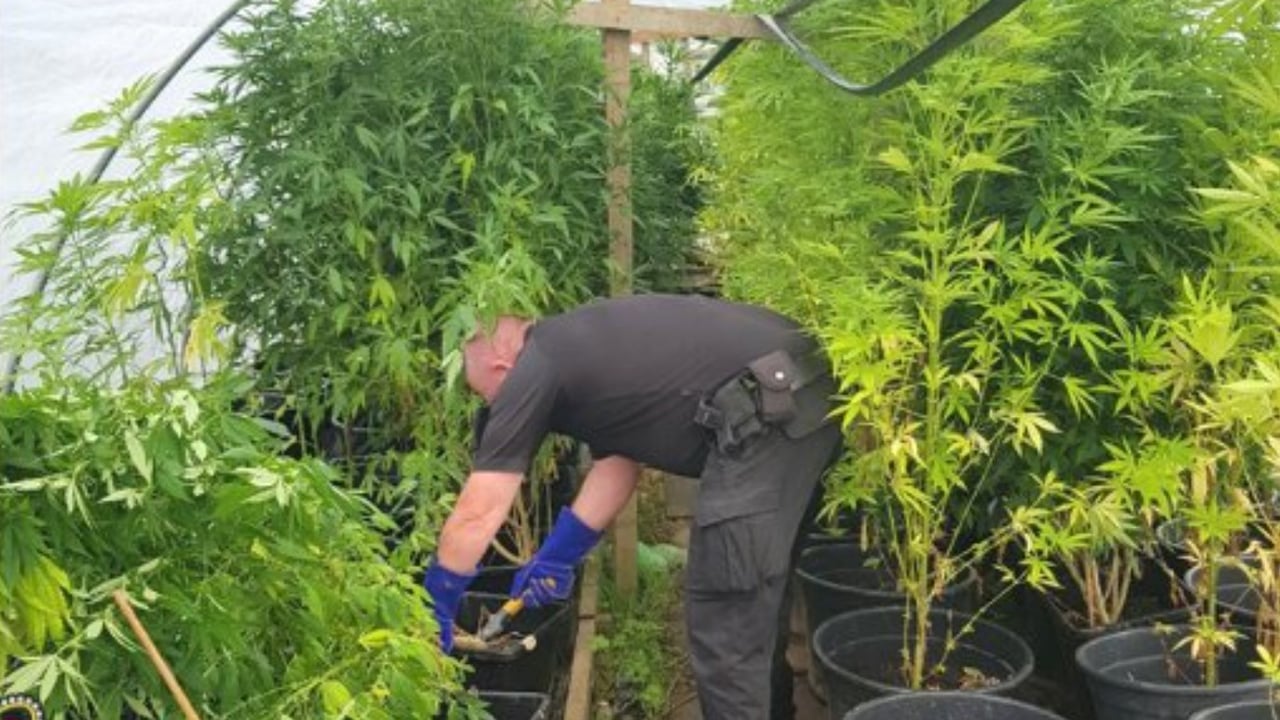Image source: Dyfed Powys Police