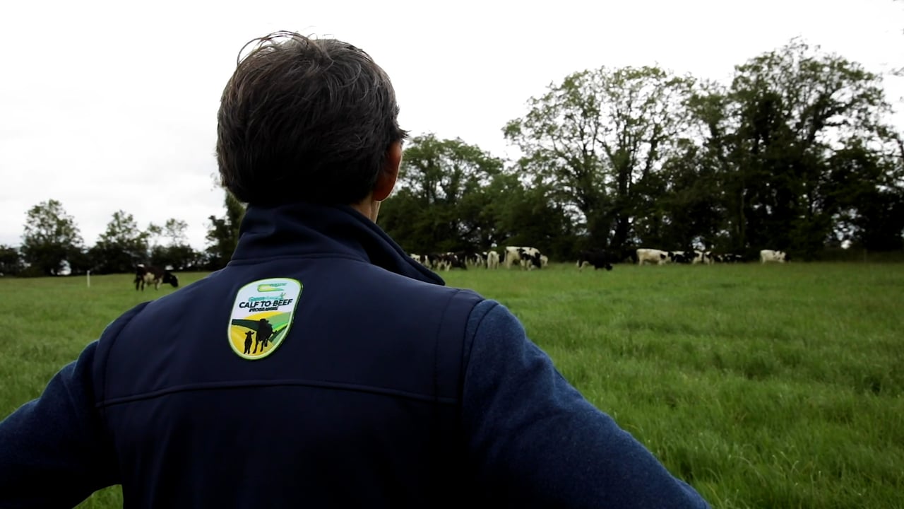 Virtual Farm Walk: Calf health, feeding and vaccination- On the farm of Martin Connolly Co. Roscommon