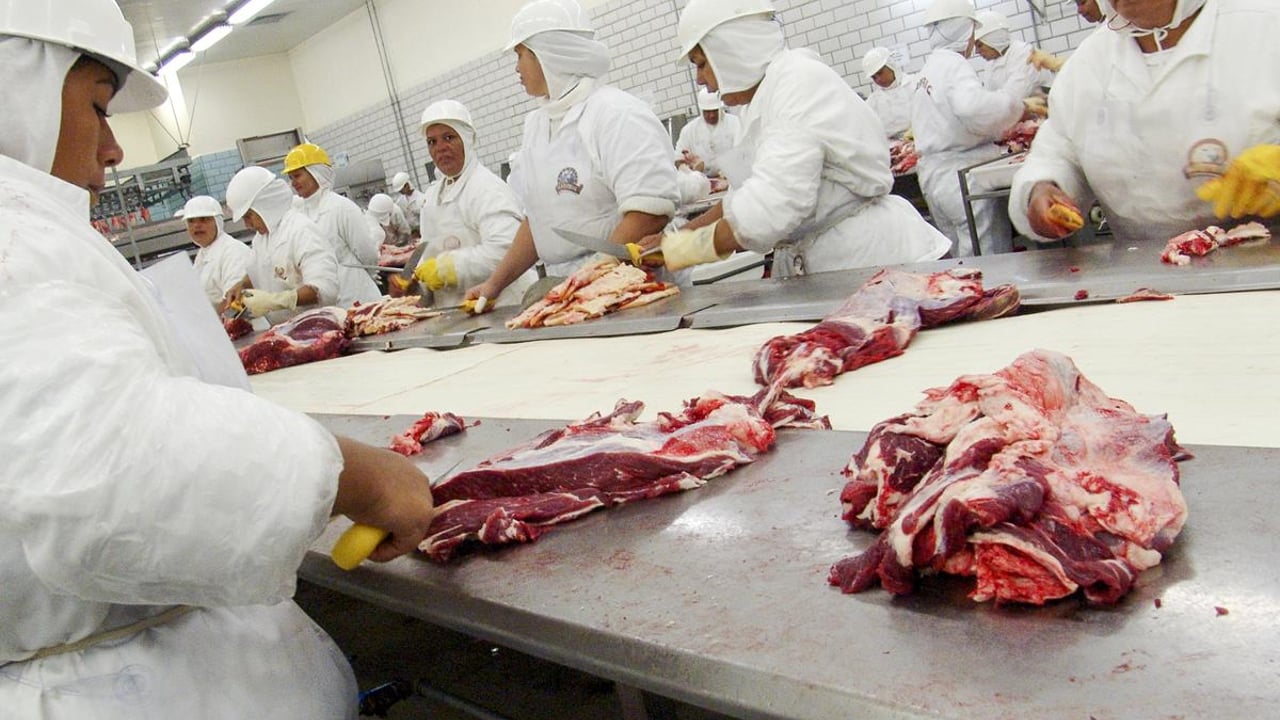 Global mentorship programme launched for women in the meat industry