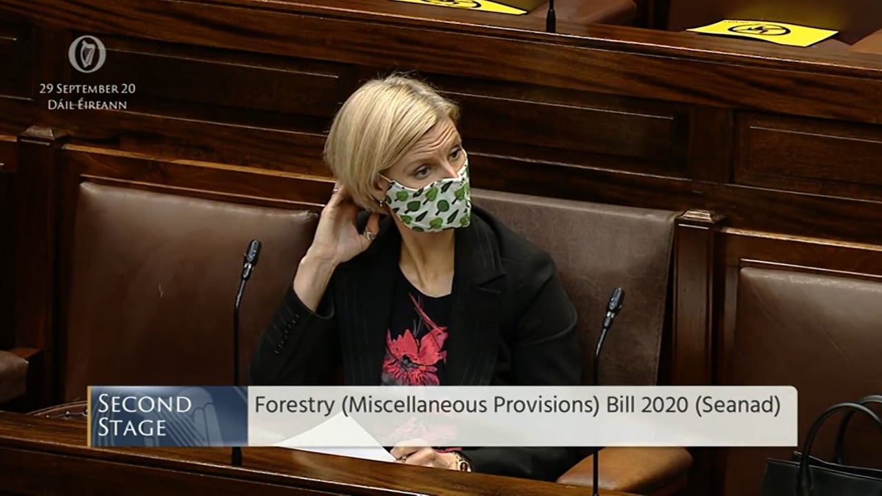 Forestry bill not being 'delivered in isolation' - Hackett