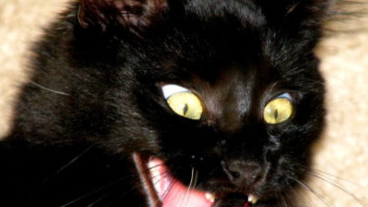 5 fearsome frights for farmers this Halloween