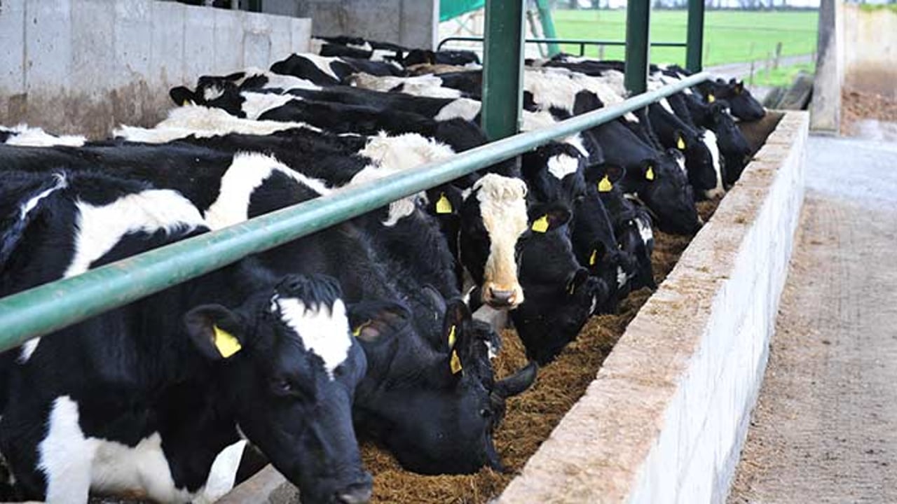 A taste of what’s on offer in the Glanbia Cyber Monday flash sale
