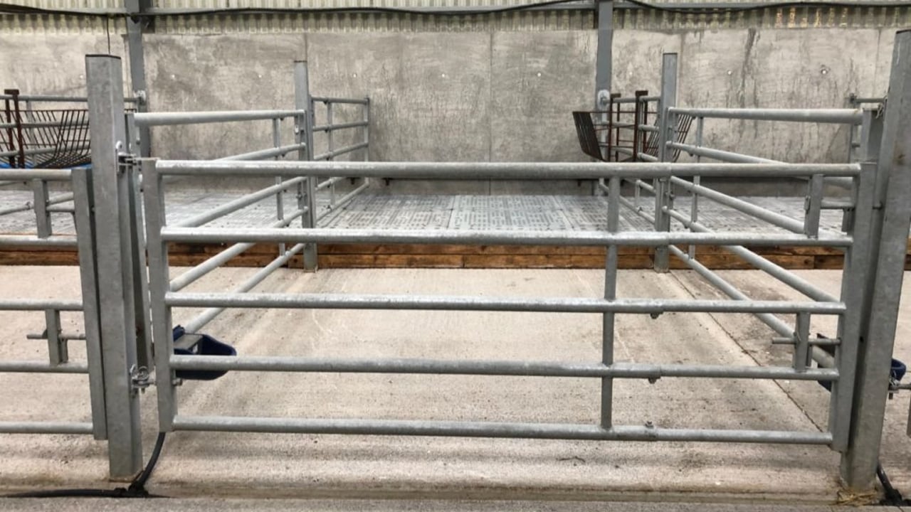 Time to start cleaning your calf sheds