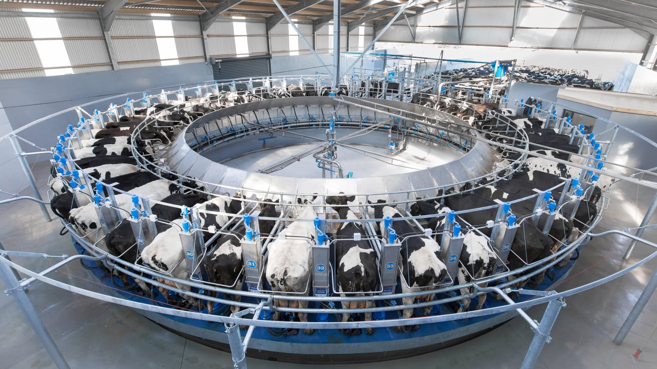 Dairymaster: Ruling the roost through the rotary route