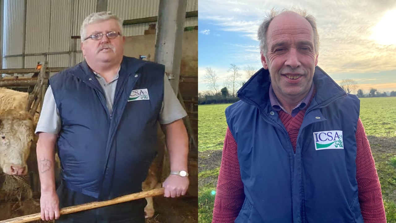 Dermot Kelleher and Sean McNamara