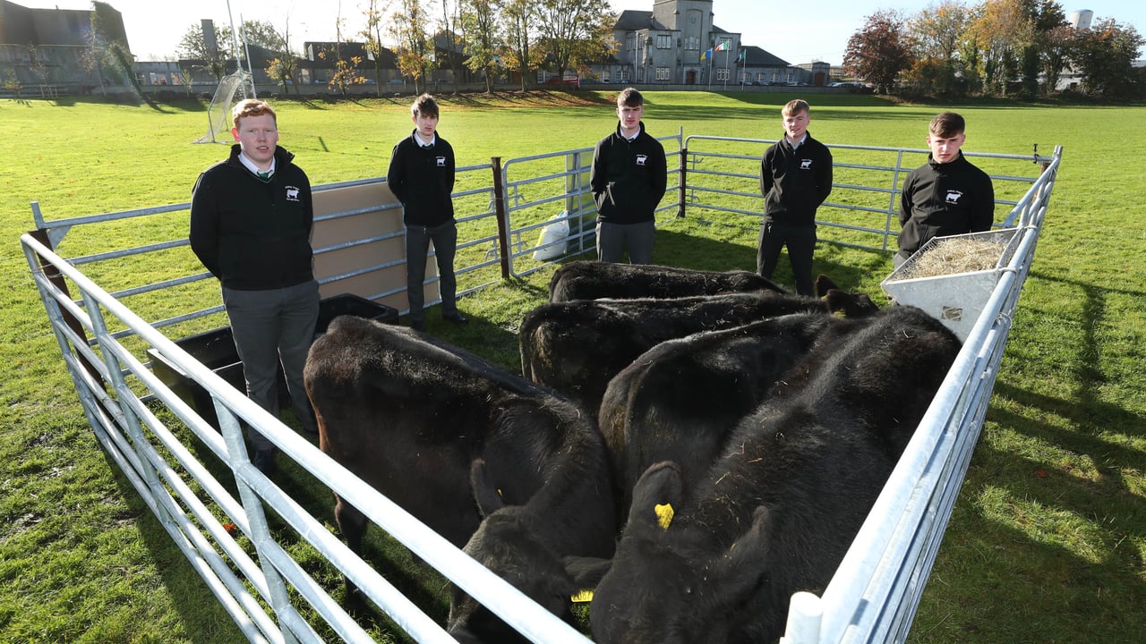 L to R: Darragh Barlow; Seán Gubbins; Conor Farrell; Michael Comon; and Liam Hayes from The Abbey School, Co. Tipperary