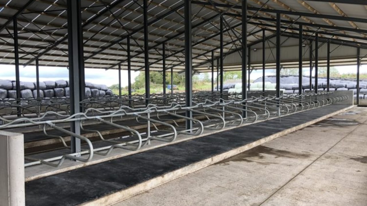Back In Focus: ‘Biting the bullet’ by building a 150-cubicle shed in Co. Offaly
