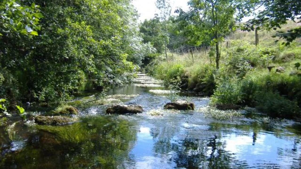 Upper Ballinderry River. Image source: DAERA
