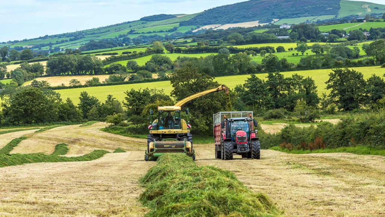 'This harvester handles lumps a lot better; we’ve never managed to choke her with grass'