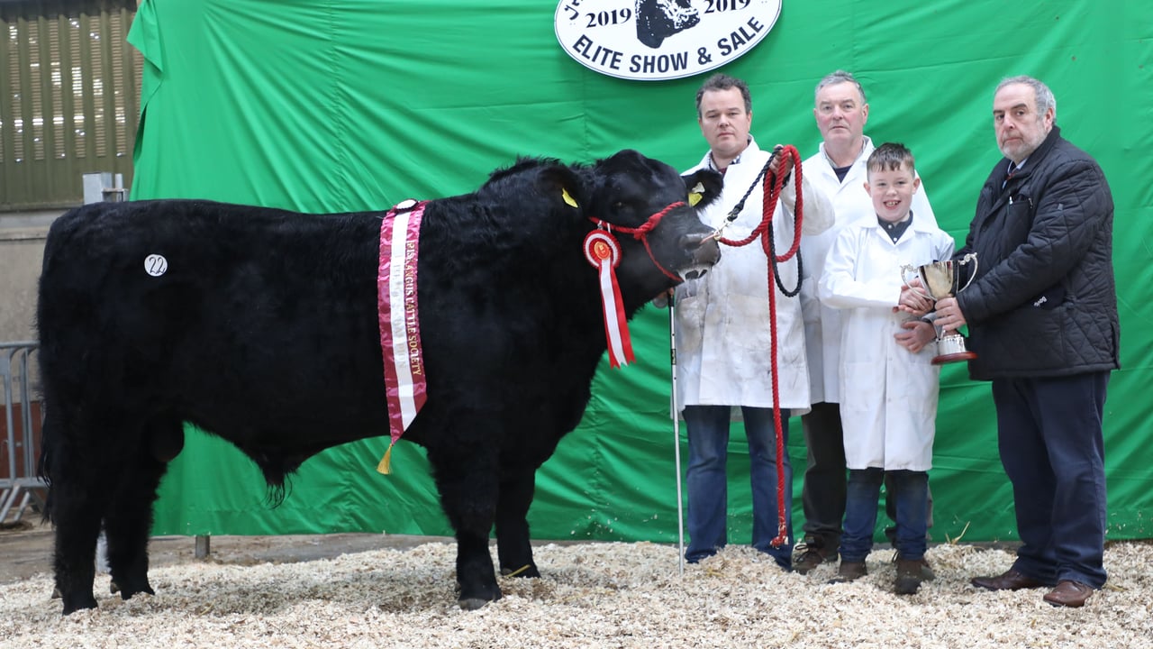 Image source: Irish Angus Cattle Society