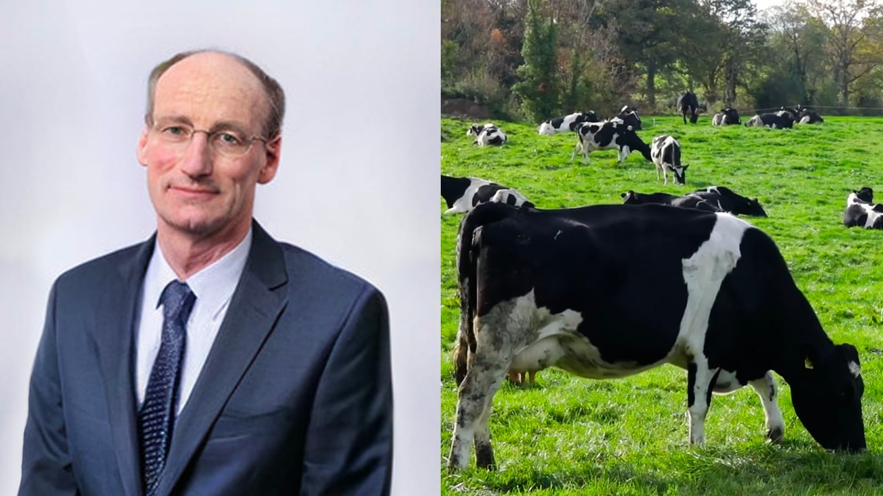 Phelan nominated to board of Glanbia Co-op
