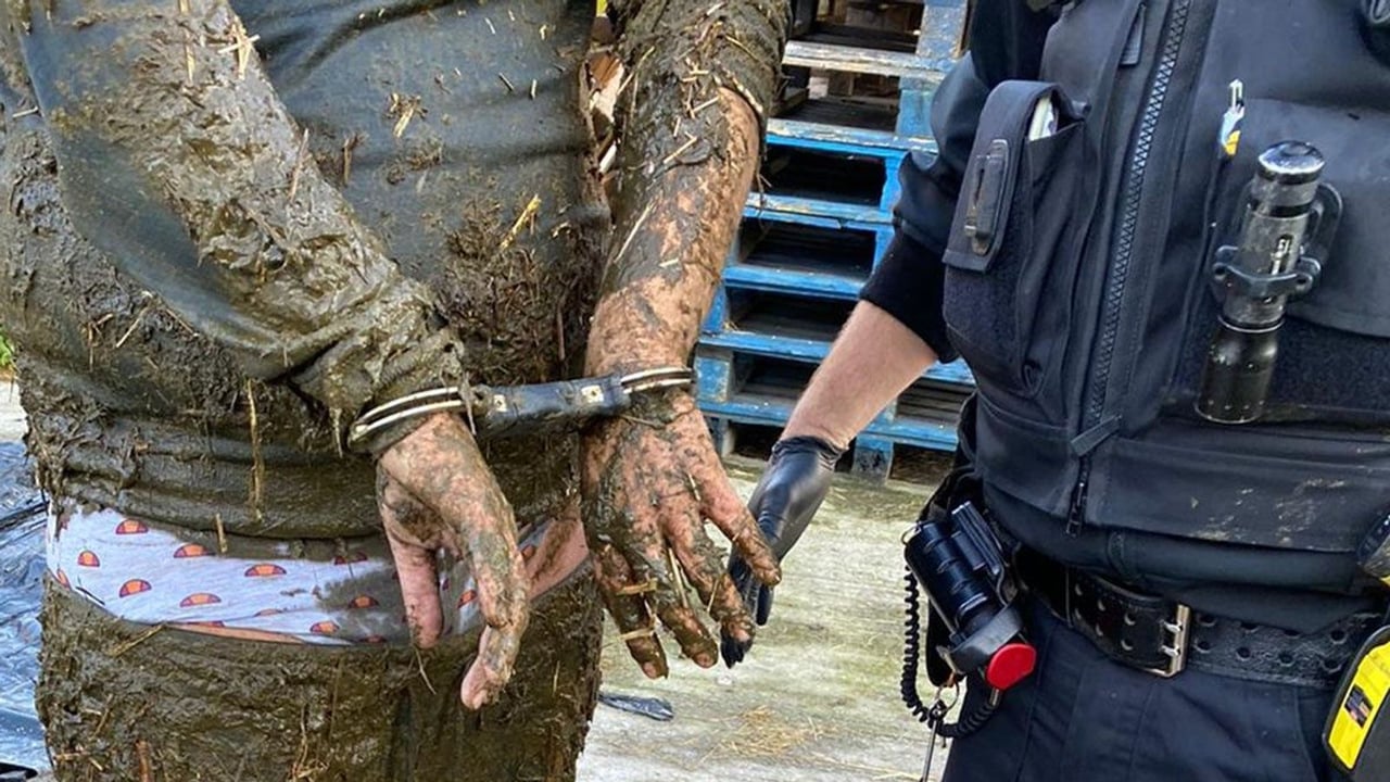 Image source: Sussex Police