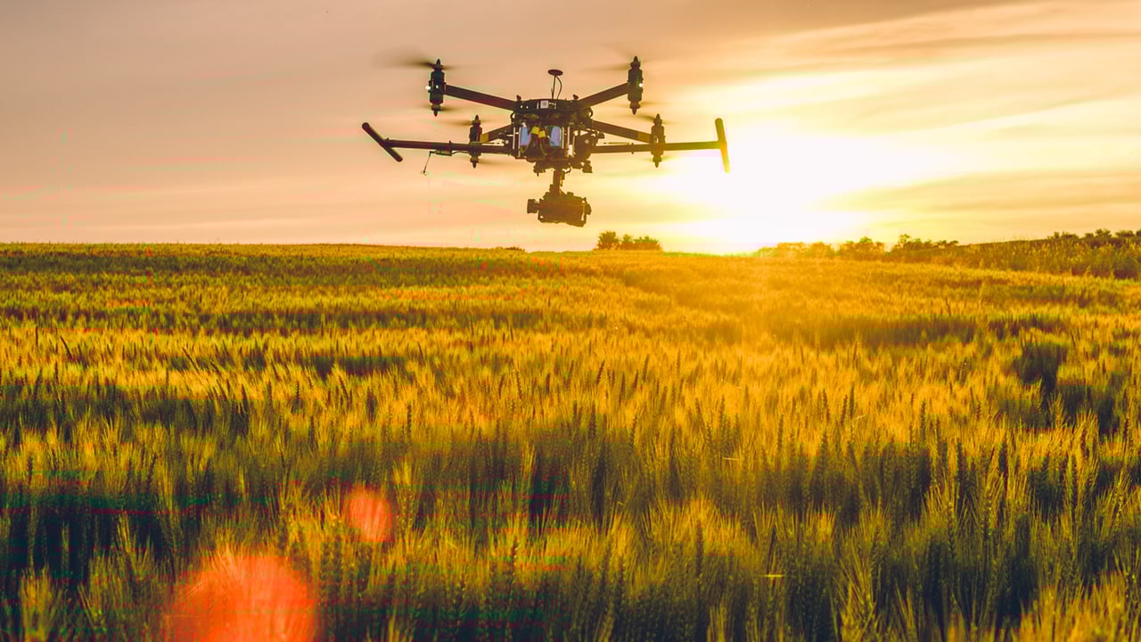 'Technology revolution' in agriculture could reduce environmental impact