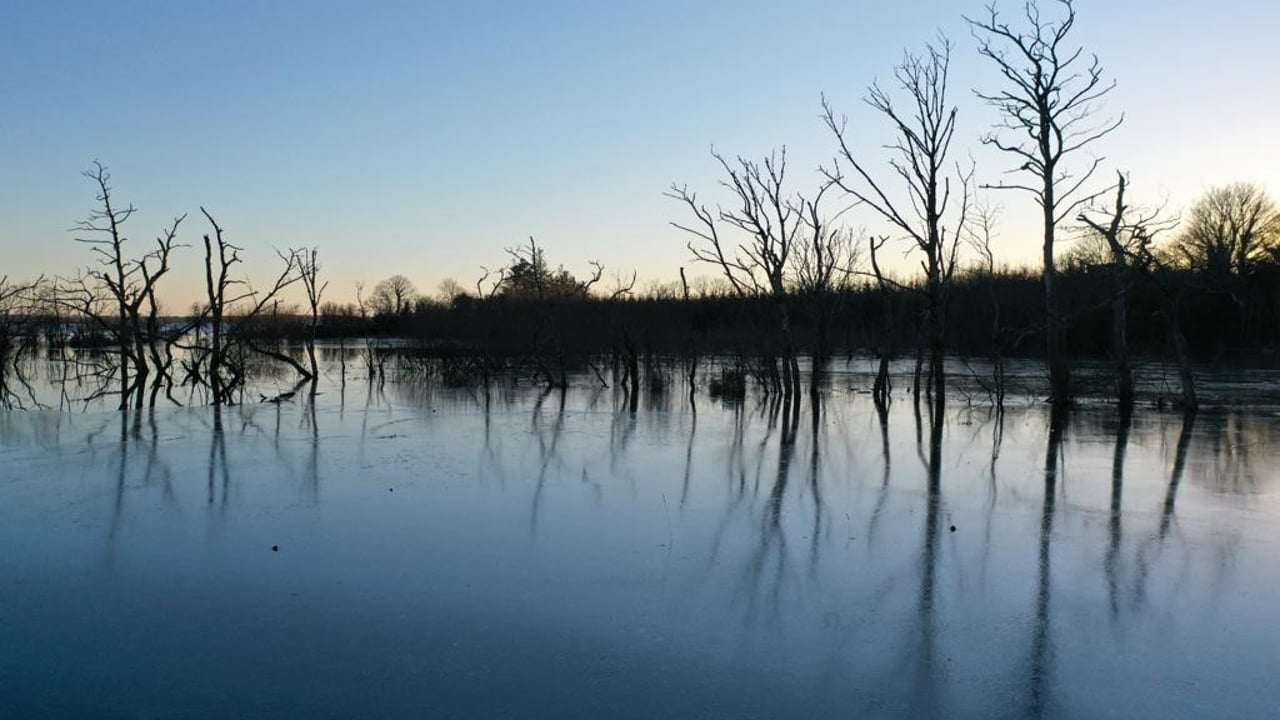 High Court grants judicial review of Lough Funshinagh flood works