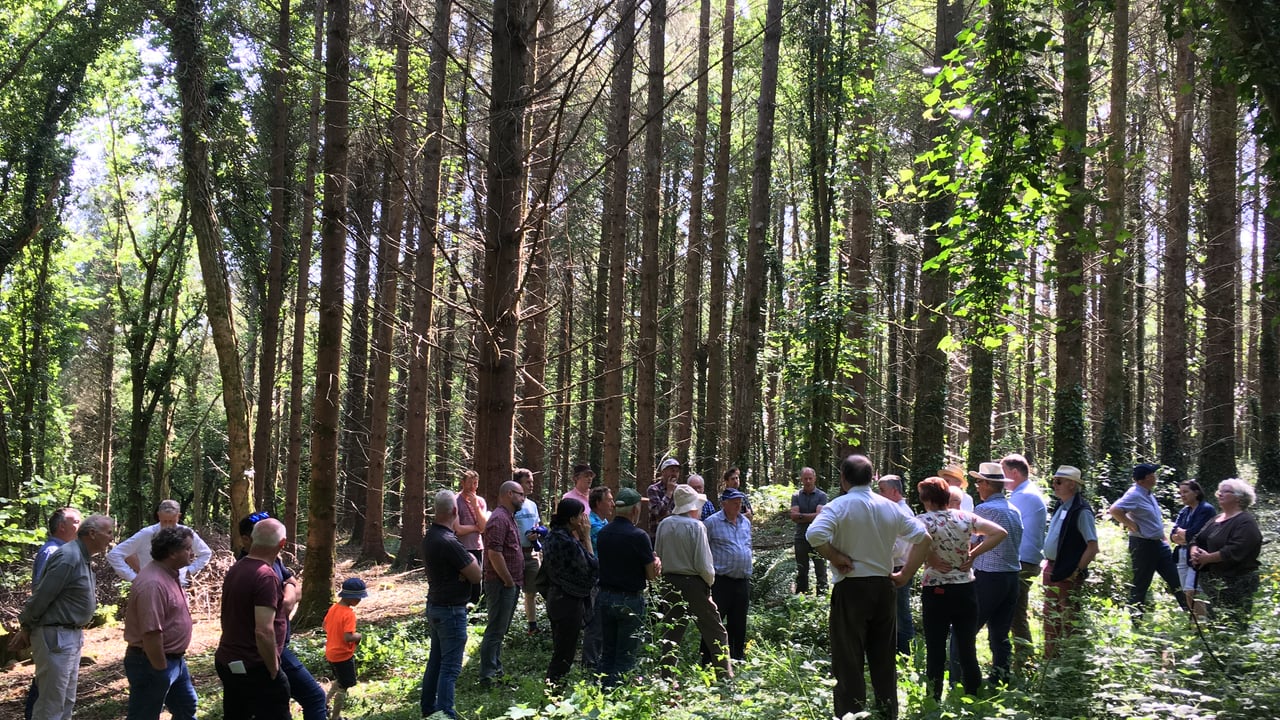 Forest owner groups join forces to form national body