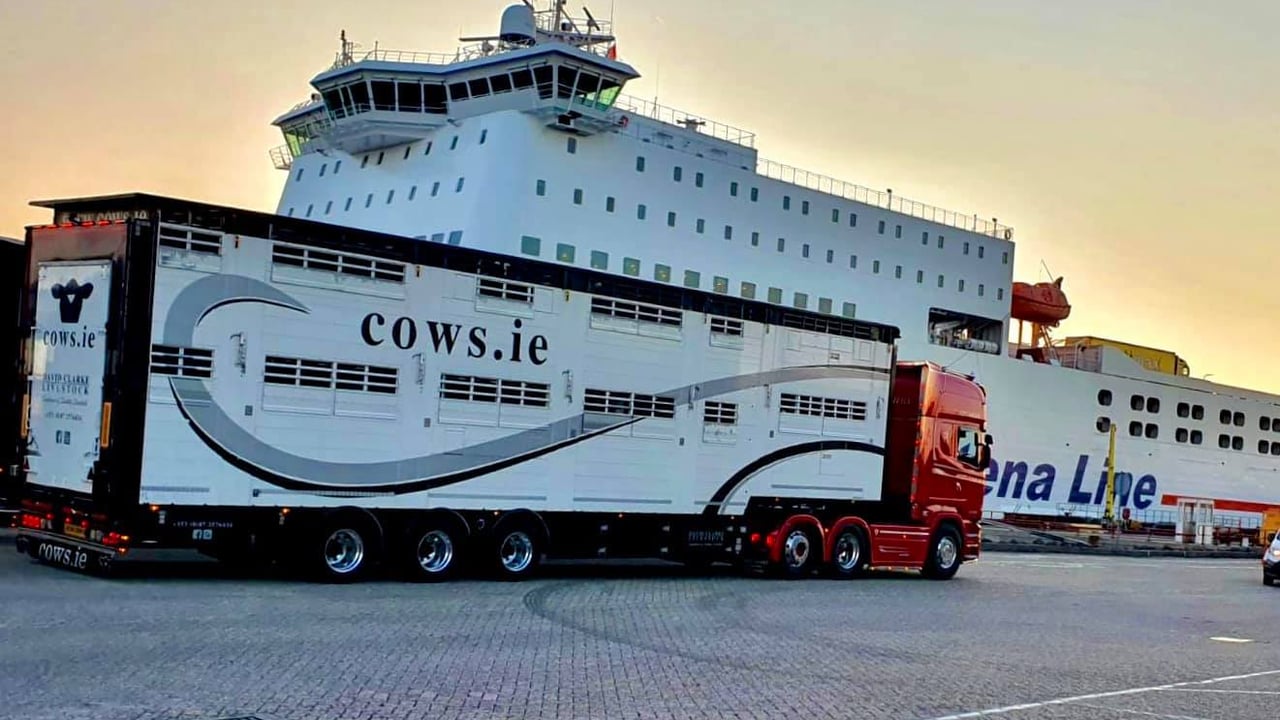 Cattle exporter highlights challenges facing hauliers to a post-Brexit UK