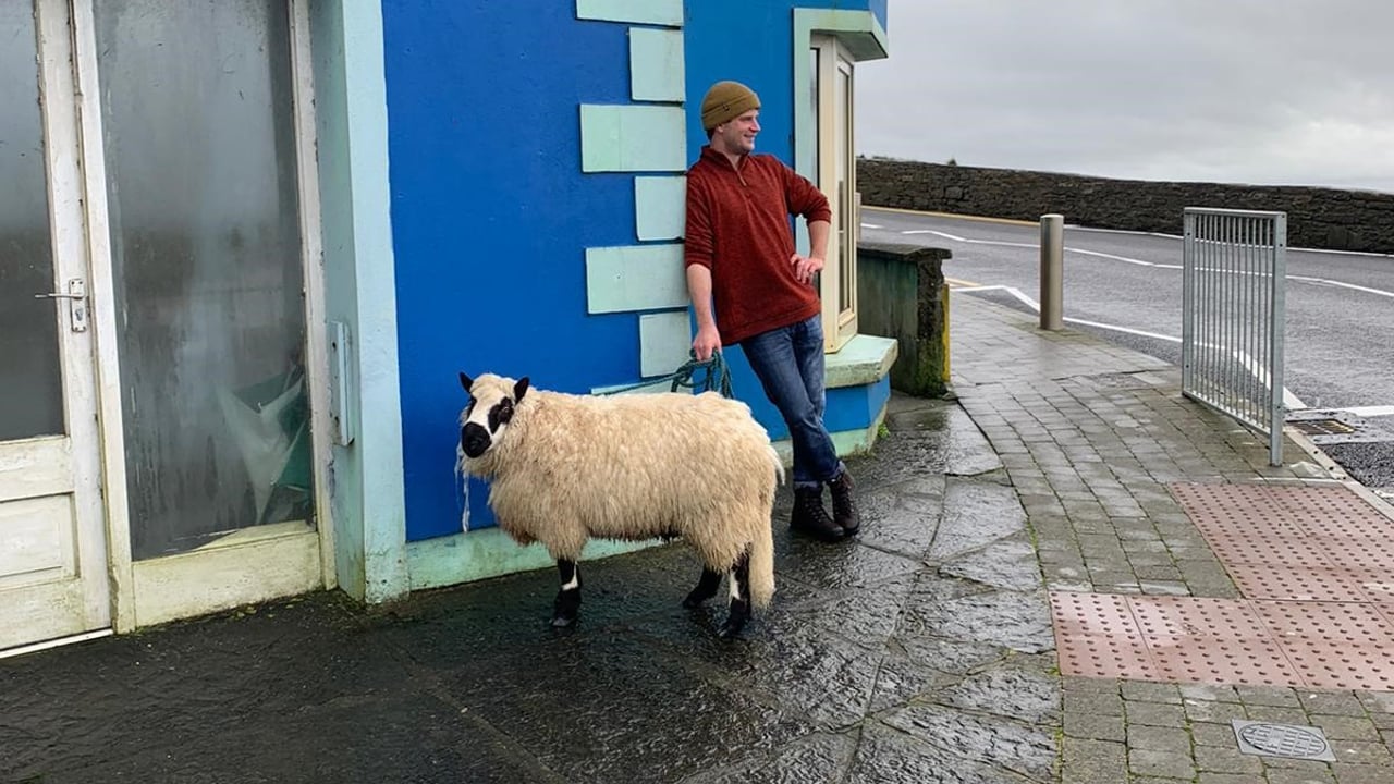 Surfer saves sheep from drowning off Clare cliff