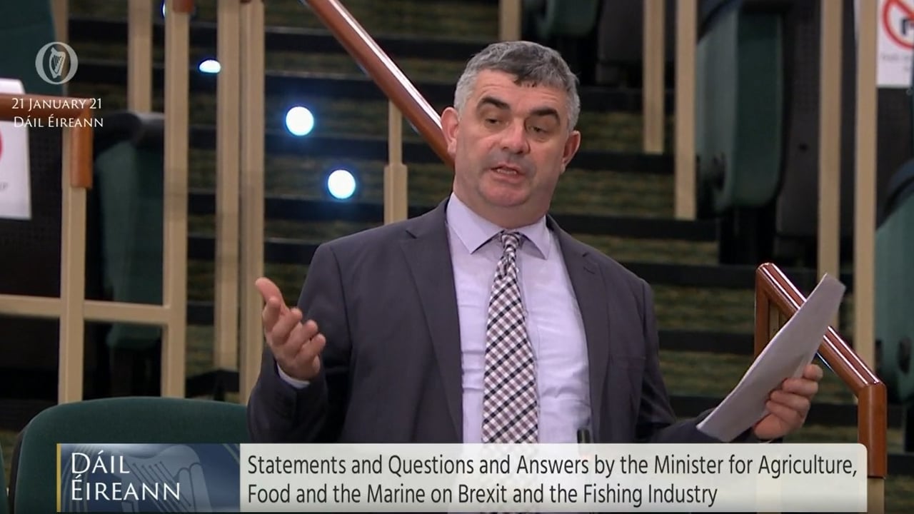 Government must intervene to end 'cartel-like system' in beef - O'Donoghue