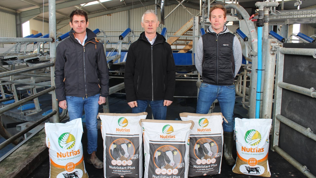 Michael, Joe and Joseph Dunphy