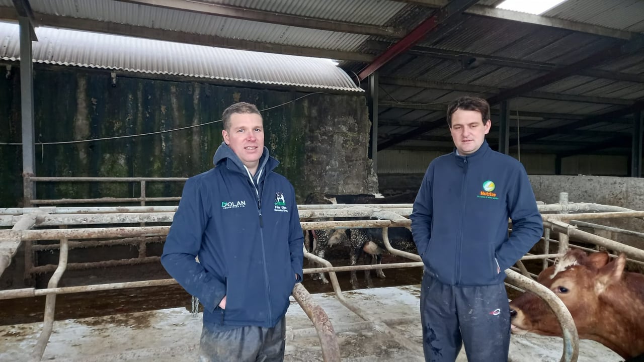 Gary Shaw and Mark Whelan (Aurivo)