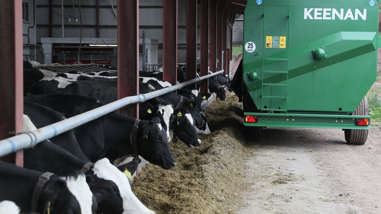 Combatting negative energy balance in early lactation