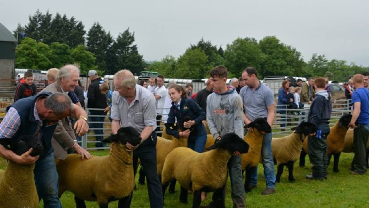 Ballymoney Show becomes the first of NI's summer shows to cancel for 2021