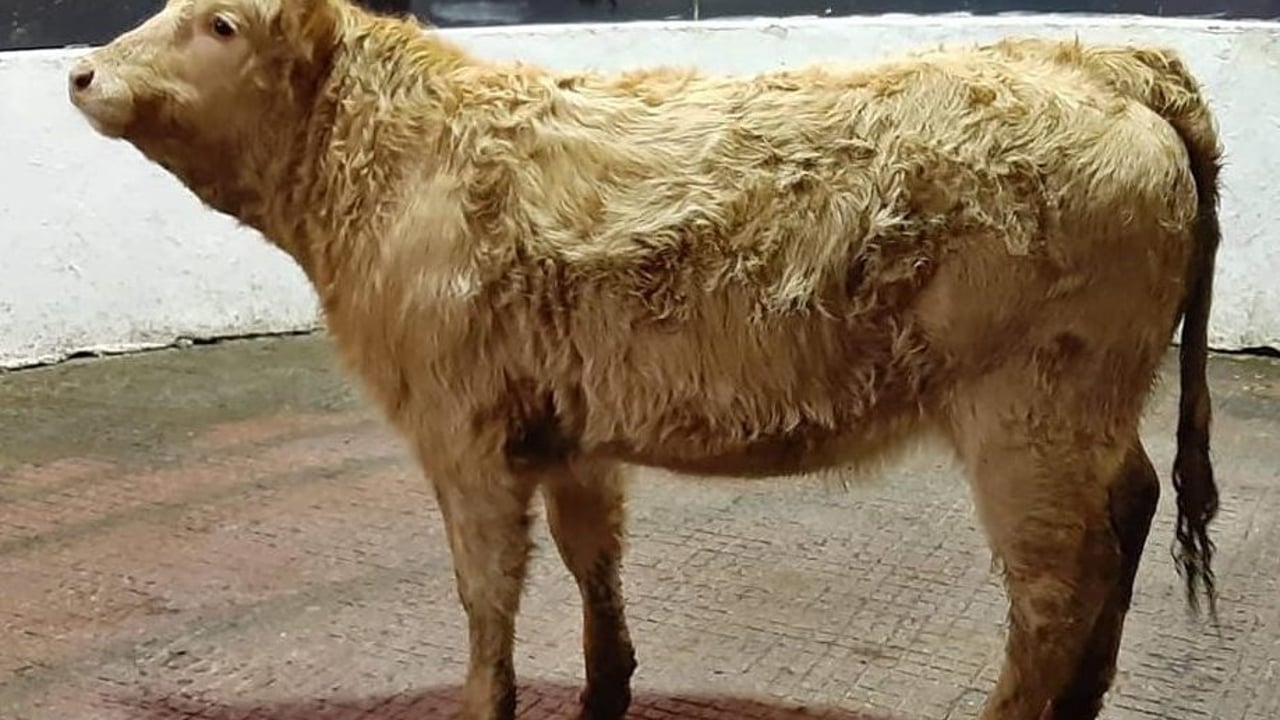 Image source: Mohill Mart