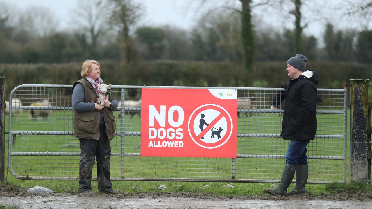 Minister urged to expedite legislation to prevent dog attacks on livestock