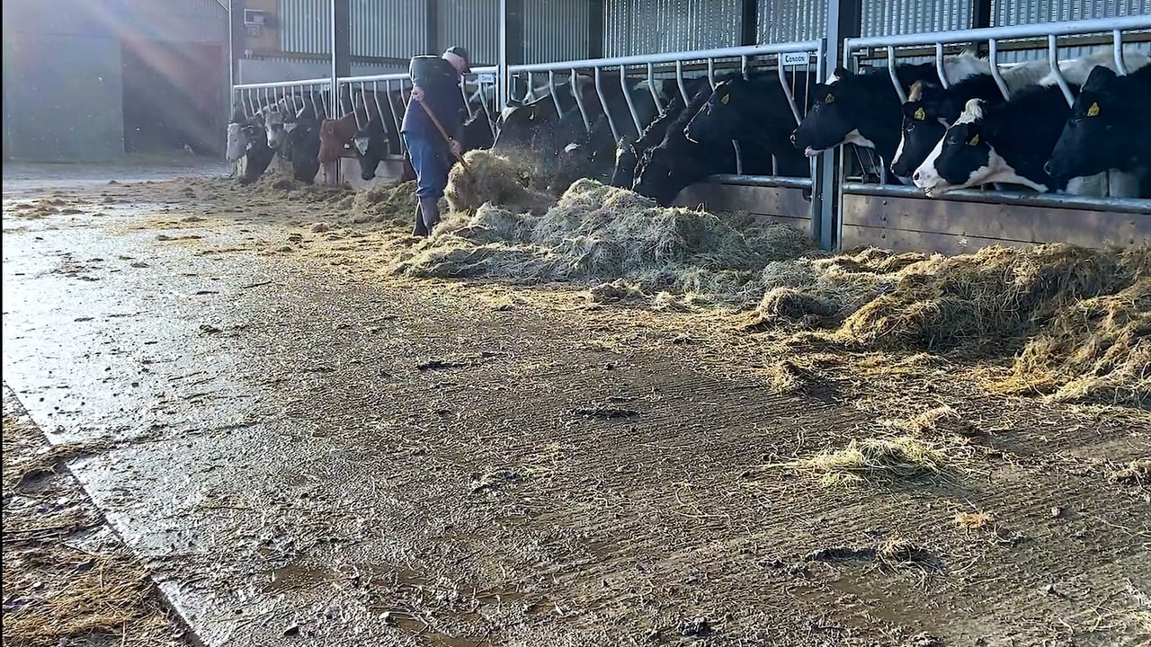 A new 5-bay slatted unit for an expanding beef finishing enterprise in Co  Tipperary