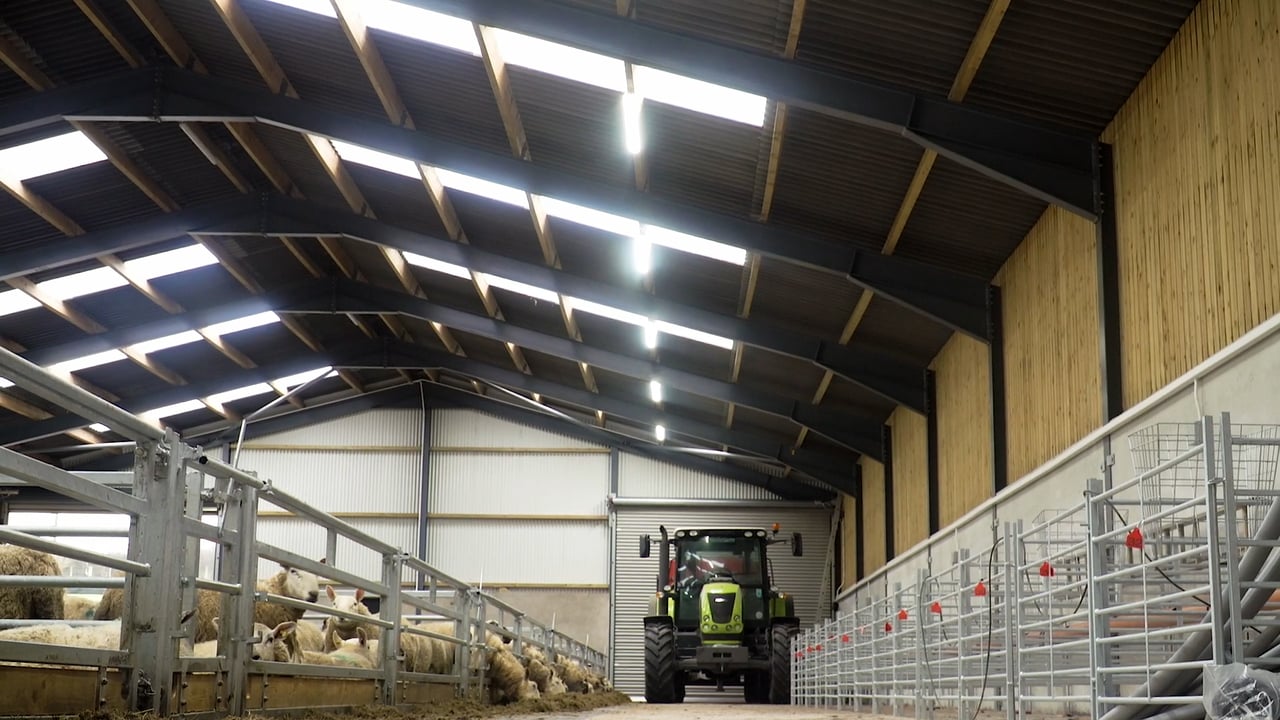 Buildings Focus: AgriLand's Michael Geary speaks to Sam Thompson about his new slatted sheep unit
