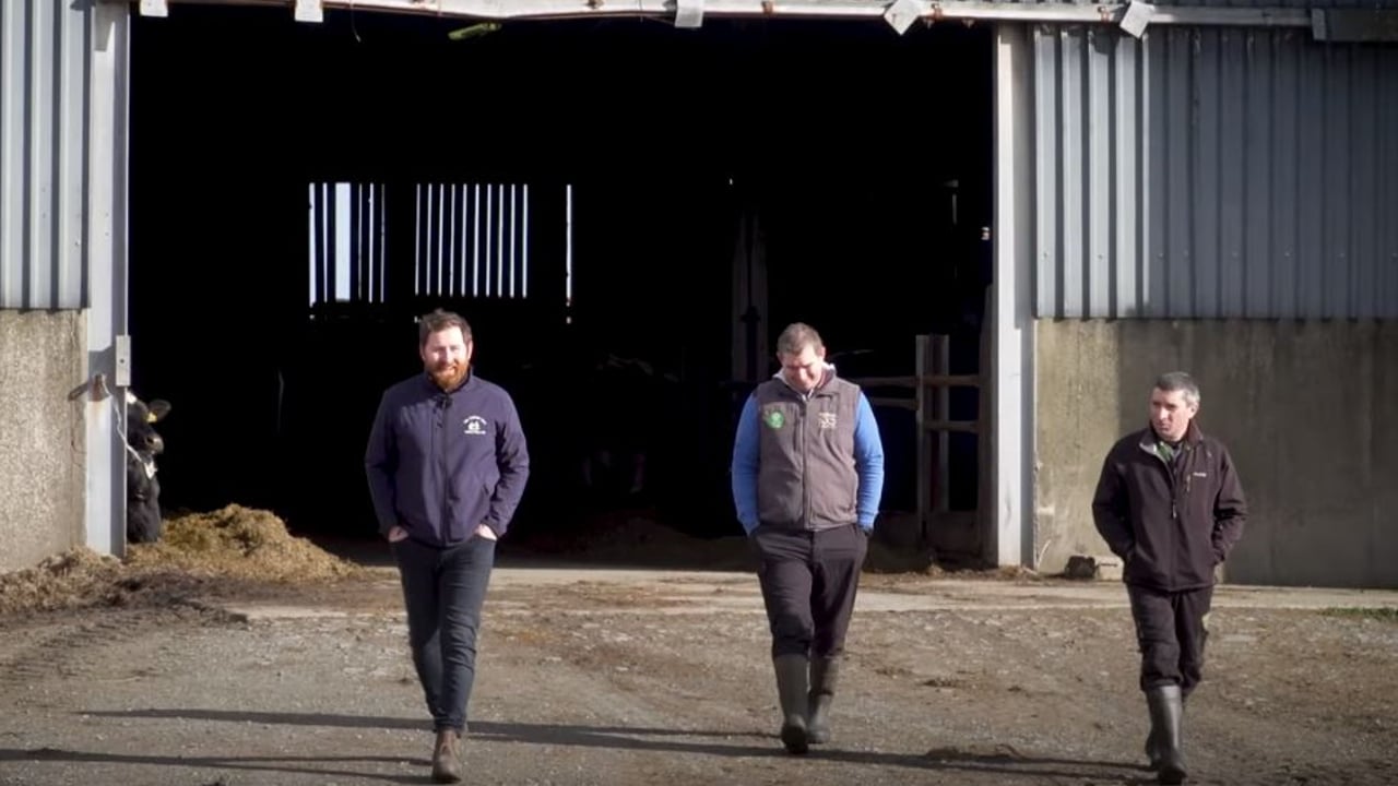 George Goes Dairy Farming -  Seamus Cullen and Clive Whelan in Wexford.