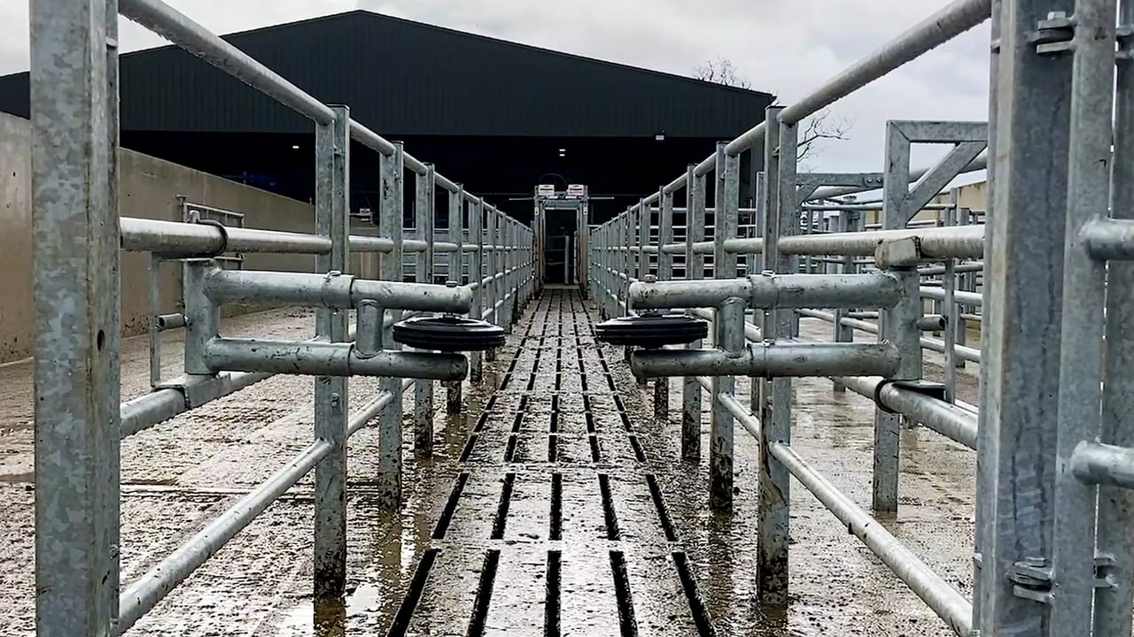 New 50 bail rotary parlour at Salesian Agricultural College