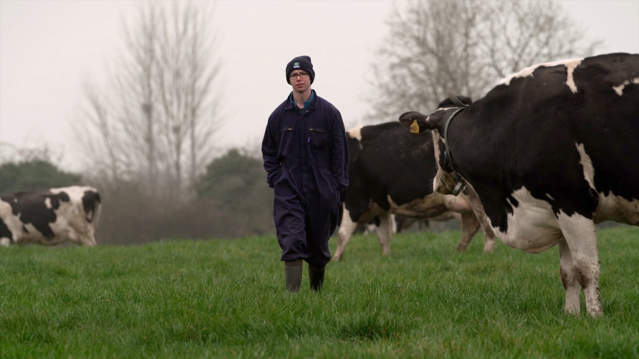 Evan Walsh at his 200-pedigree-Holstein cow dairy farm in Co. Offaly