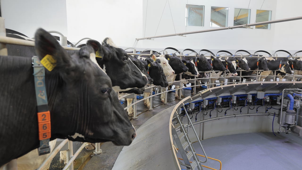Image source: DeLaval