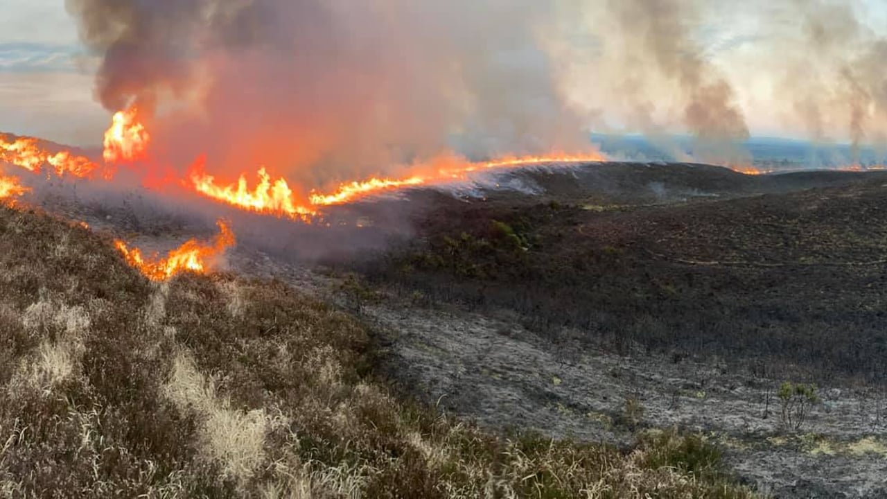 Fire risk notice issued by department ahead of dry spell