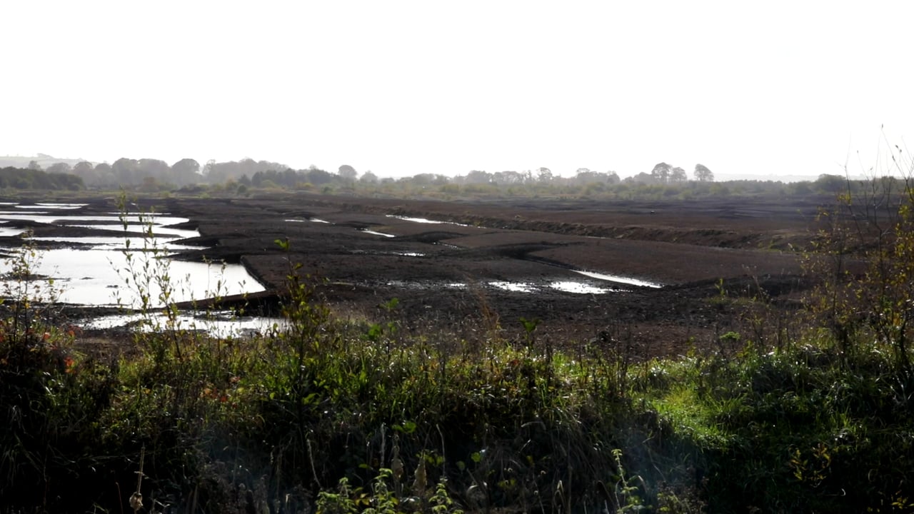 Bioeconomy funding initiative worth €10 million for midlands