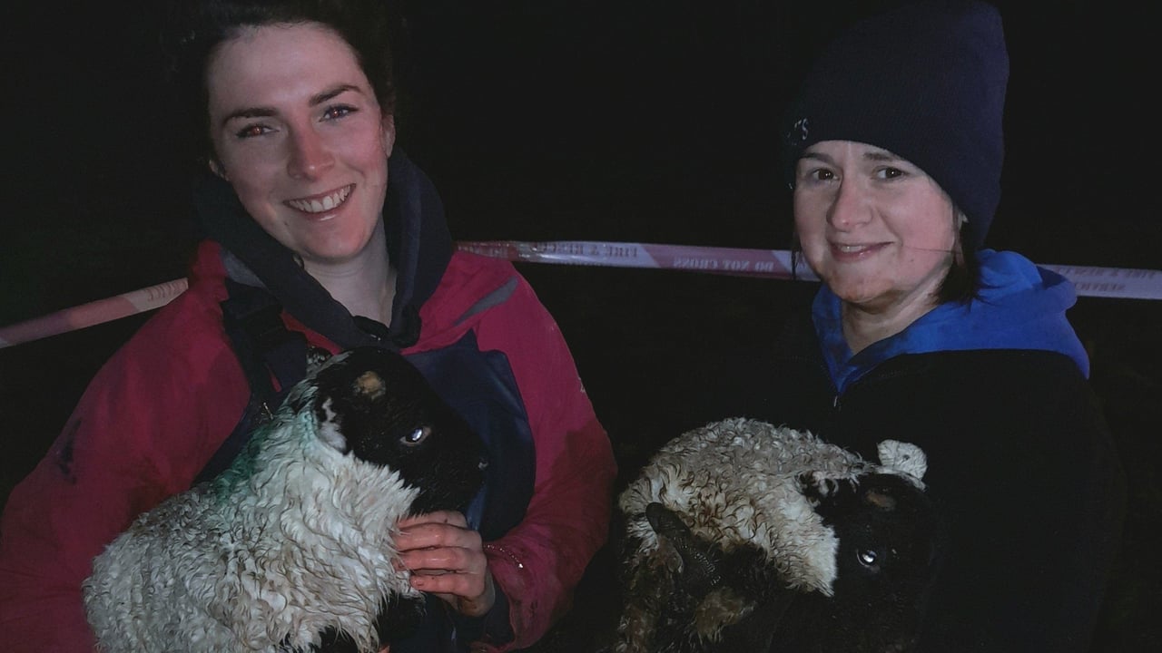 The owners with their rescued lambs. Image source: Northern Ireland Fire and Rescue Service