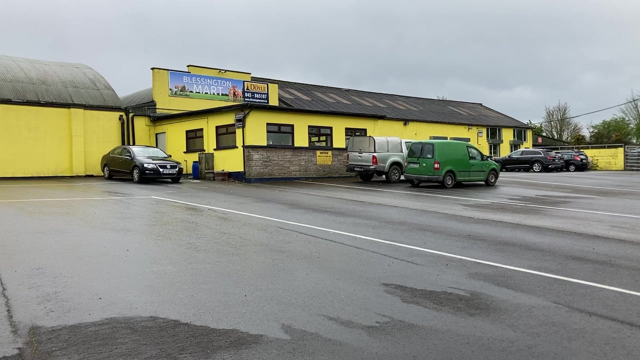 Blessington Mart - Numbers ease as weather continues to hold