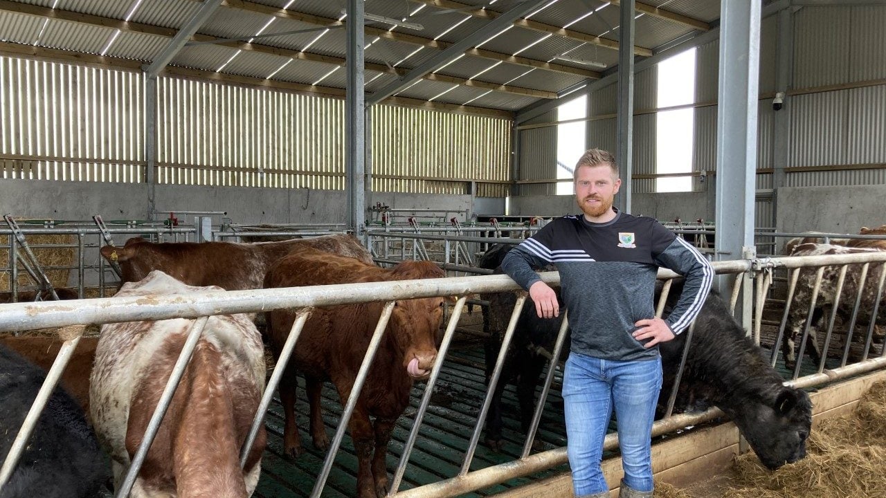 Buildings Focus: Leaving no stone unturned in this new suckler unit in Co. Roscommon