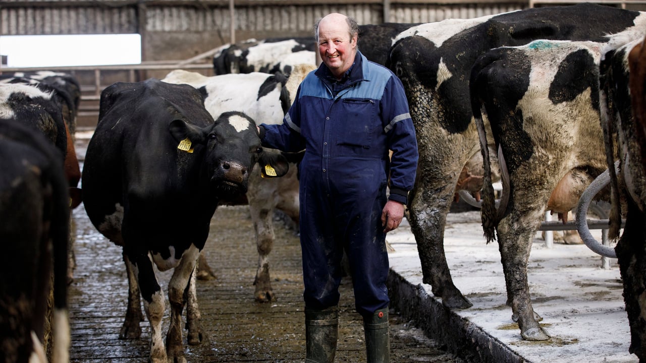 Donal Cronin, Freemount, Co. Cork.