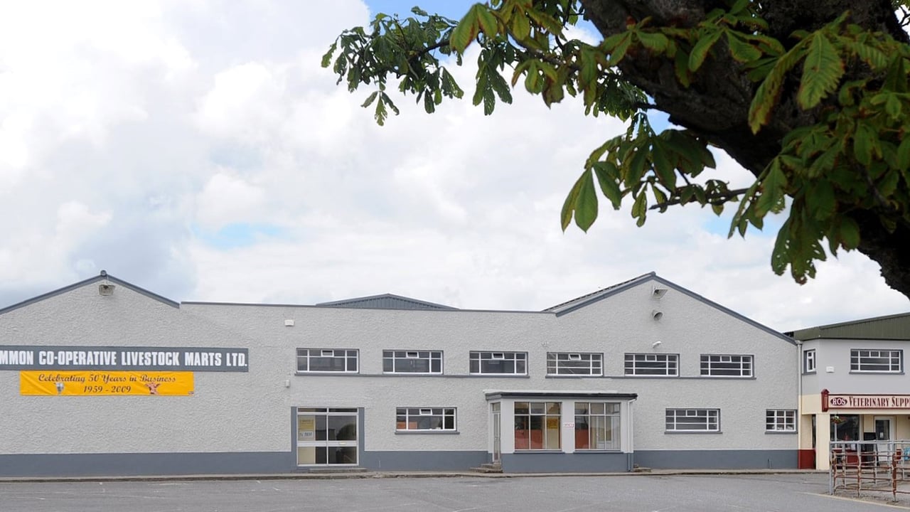 Roscommon Mart appoints new manager
