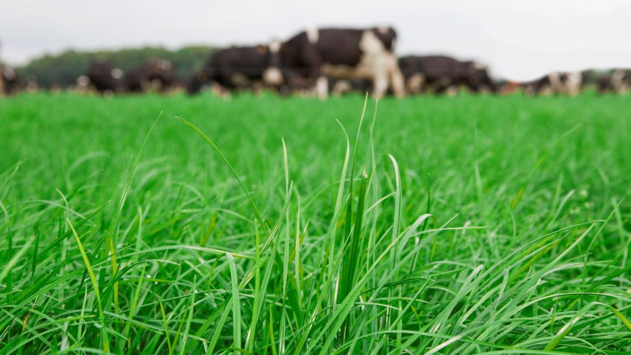 Govt identifies agri-'opportunities' associated with climate change
