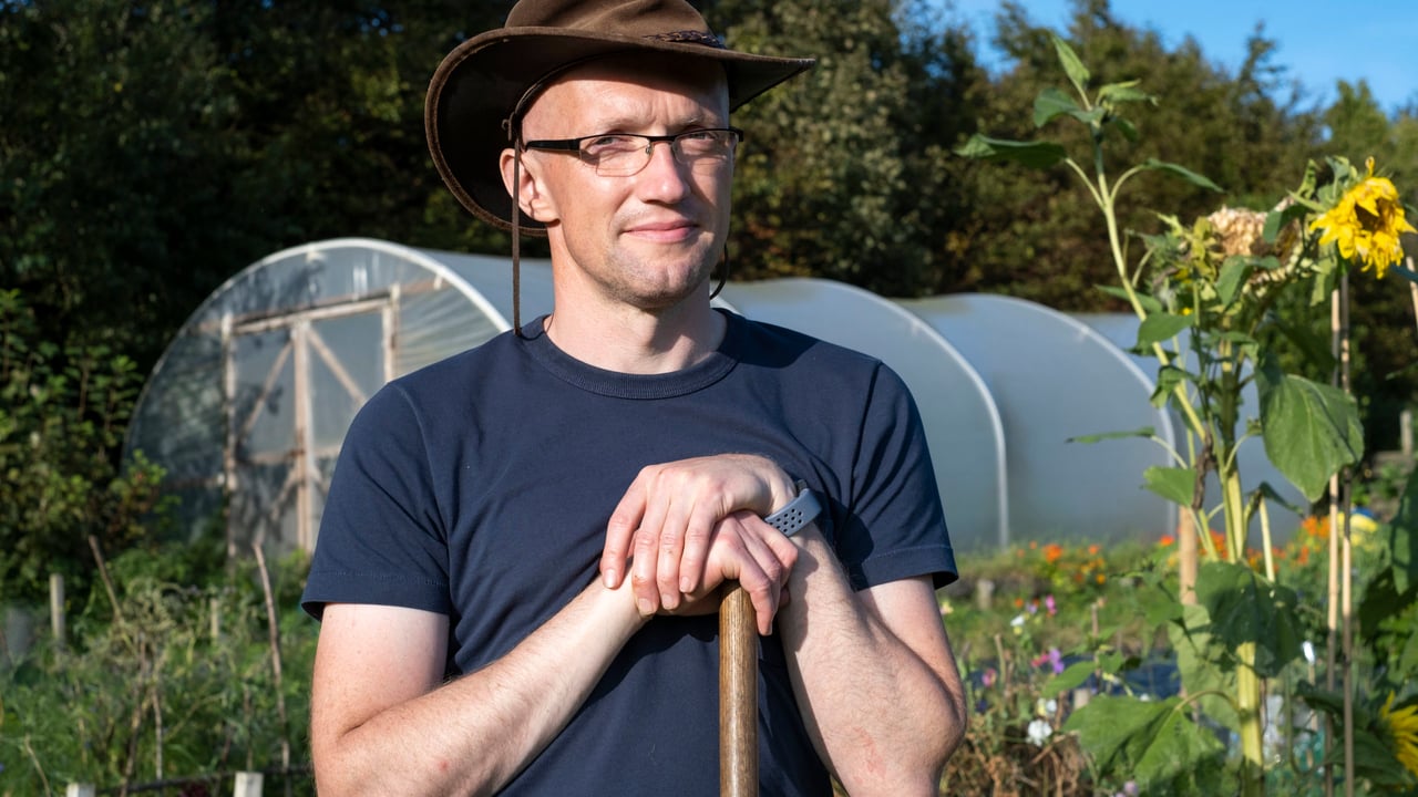 'Plean Bee': An insight into efforts to reverse pollinator decline in Ireland