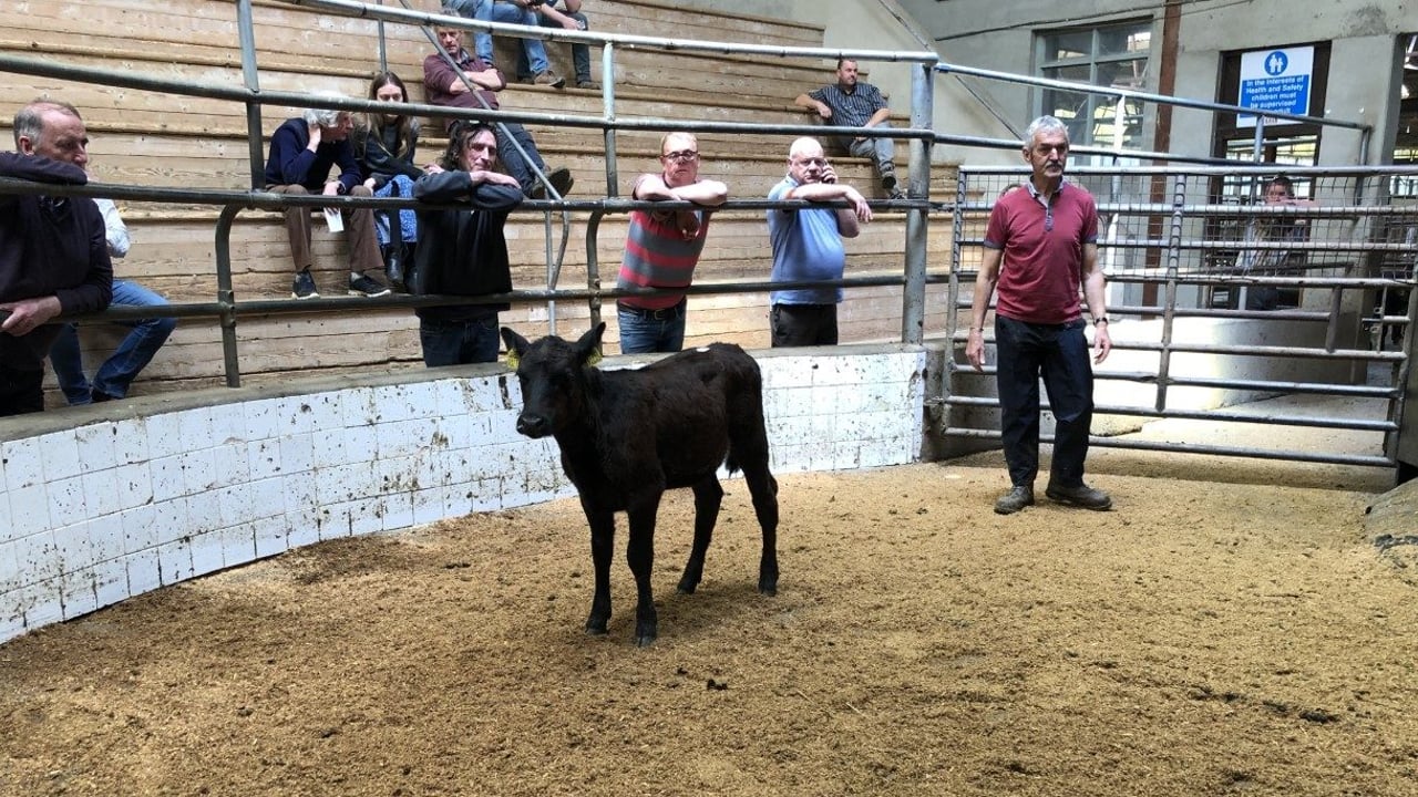 'As a mart manager our job was to get people into the mart - not keep them away'